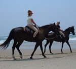 Horseback Riding at the Outer Banks