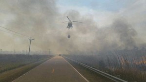 Whipping Creek Fire (photo from WITN)
